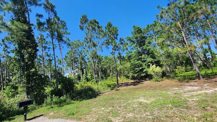 Gulf State Park Campground Picture 10