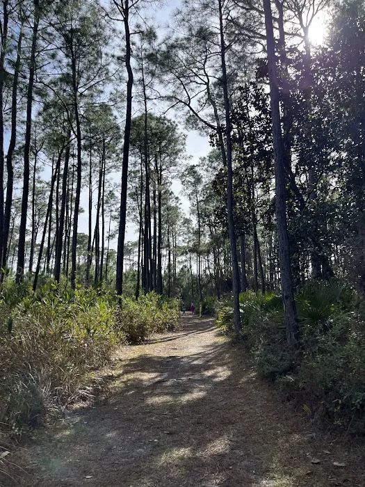 Dauphin Island Campground Picture 4