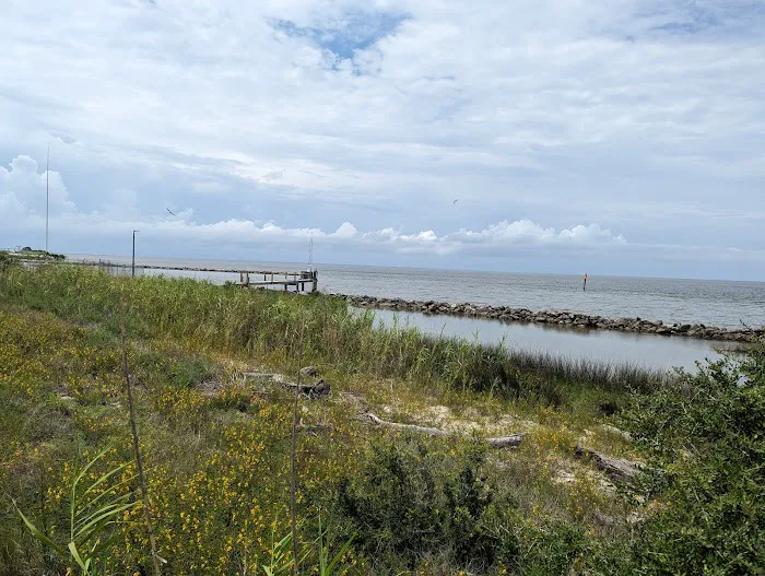 Dauphin Island Campground Picture 7