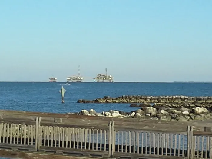 Dauphin Island Campground Picture 9