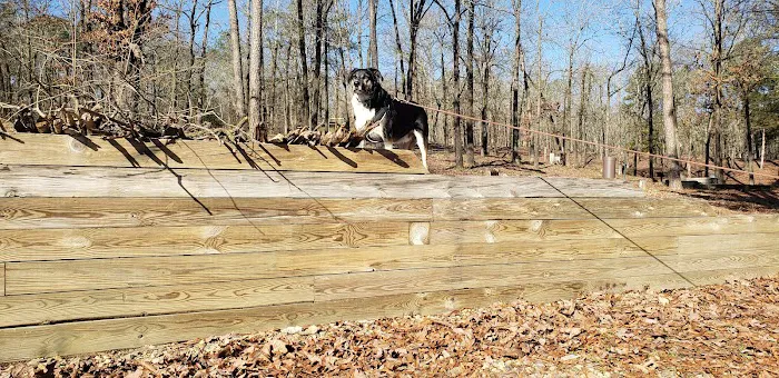 BIG COON CREEK Picture 8