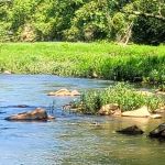 Cossatot Reefs