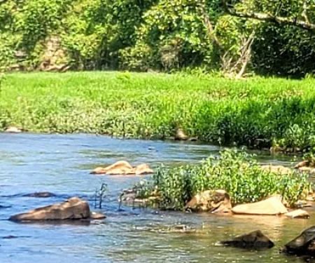 Cossatot Reefs