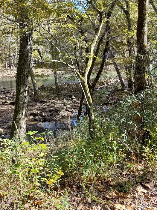 Cossatot Reefs Picture 4