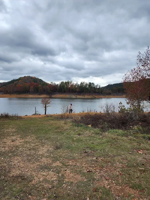 Holly Creek Campsite Picture 1