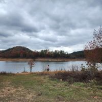 Holly Creek Campsite ico