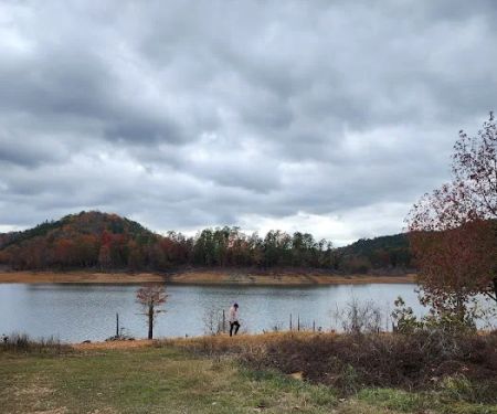 Holly Creek Campsite