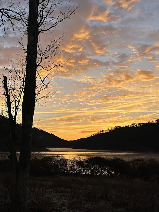 Holly Creek Campsite Picture 7