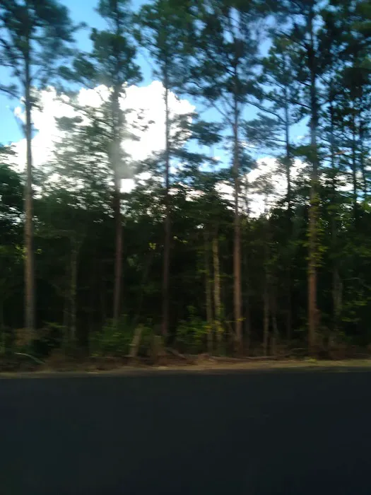 Kiamichi Lodge Picture 8