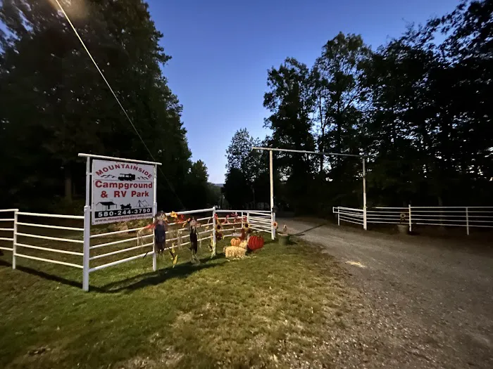 Mountainside Campground & RV Park Picture 3