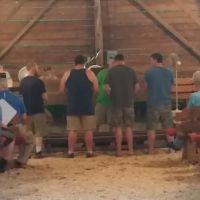 Ebenezer Methodist Campground ico