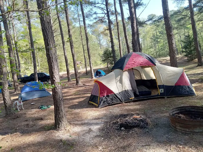 Miners' Camping Picture 8