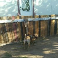 Phoenix West Mobile Home Park ico