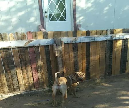Phoenix West Mobile Home Park