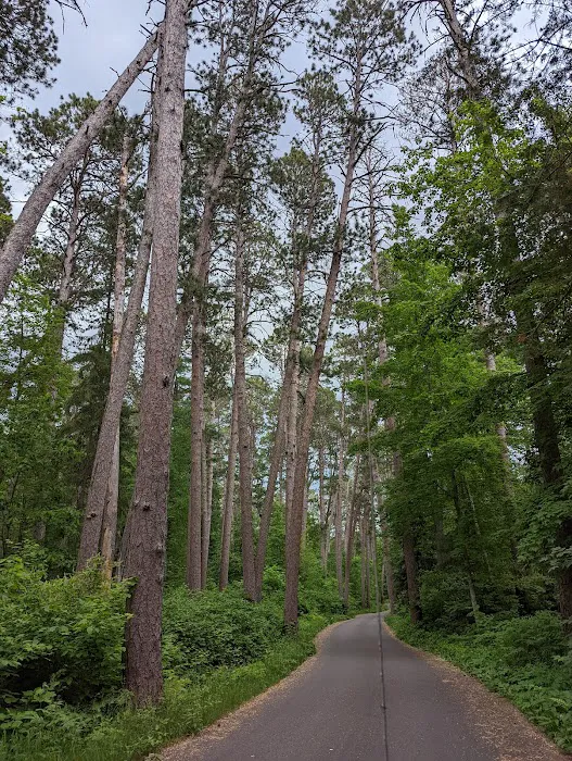 Pine Ridge Campground Picture 6
