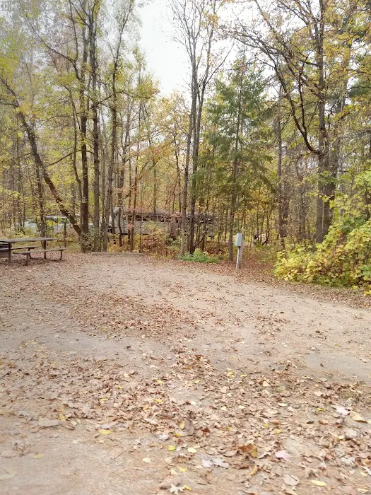 Pine Ridge Campground Picture 9