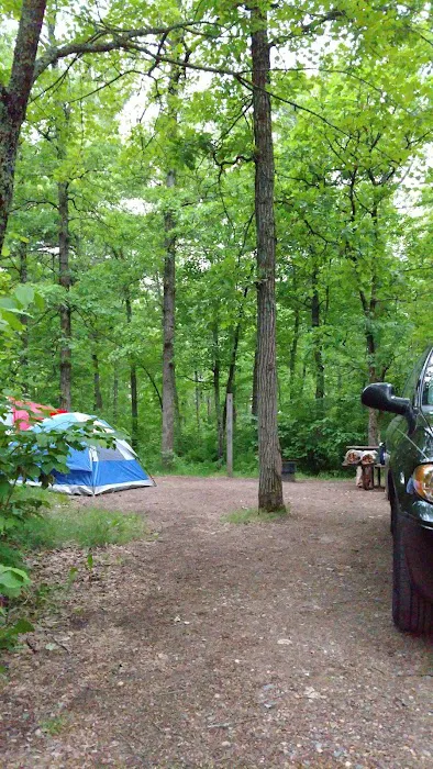 Pine Ridge Campground Picture 7
