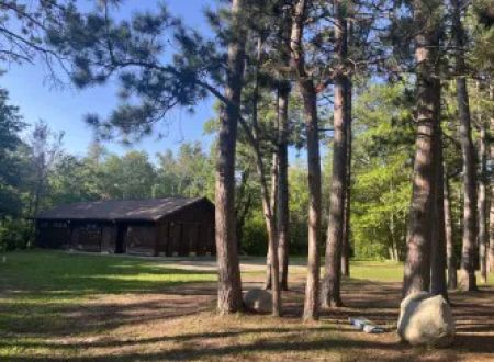 Ozawindib Group Center