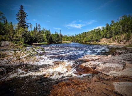 Koochiching State Forest