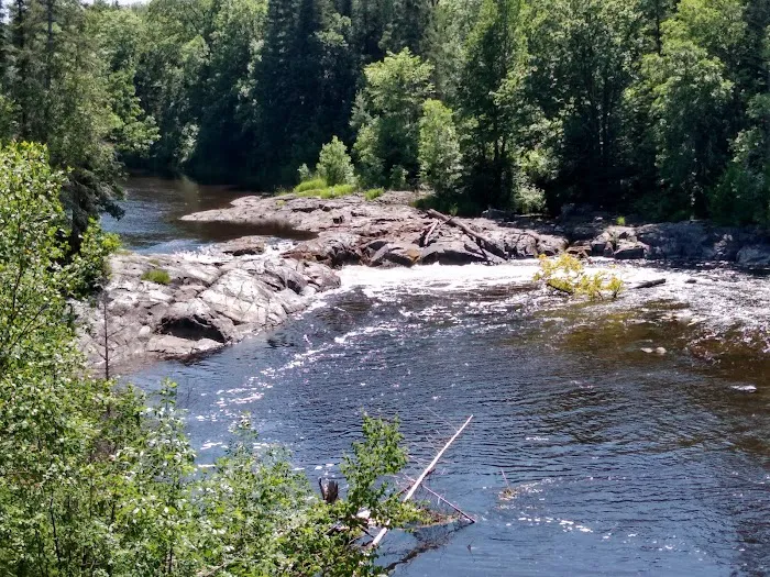 Koochiching State Forest Picture 3