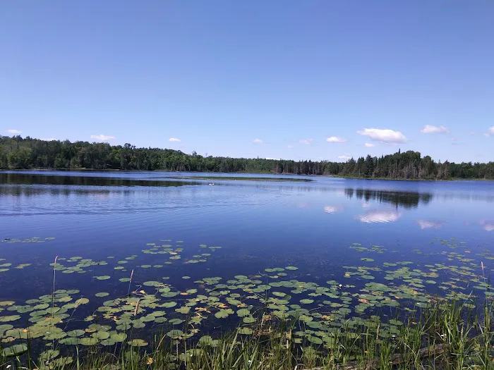 Koochiching State Forest Picture 9