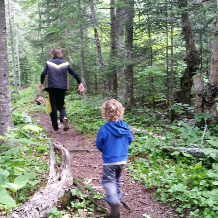 Kimball Creek Camp Picture 8