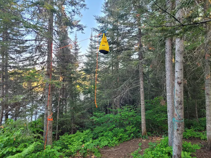 BWCA Campsite #900 Picture 3