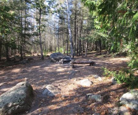 BWCA Campsite #888