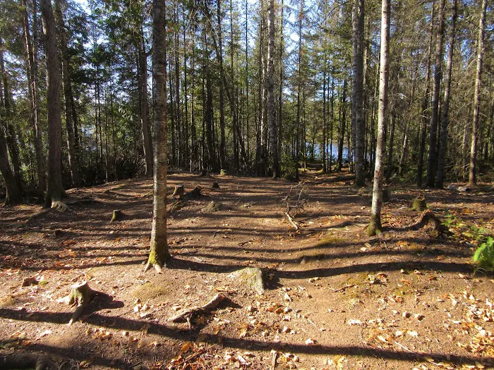 BWCA Campsite #888 Picture 10