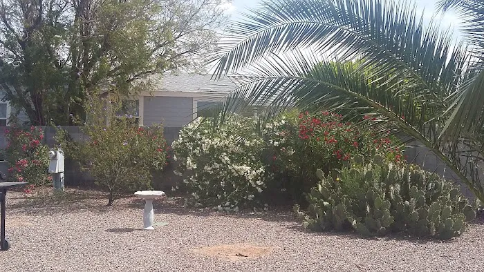 Brentwood Southern Mobile Home Picture 8