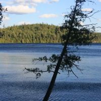 Campsite 971 ico