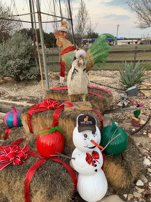 Peach Country RV Park Picture 6