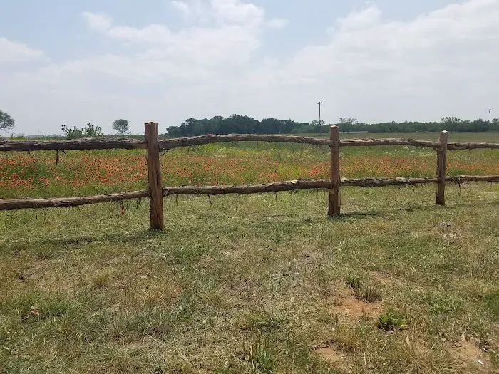 Bending Oaks Ranch RV Resort Picture 5