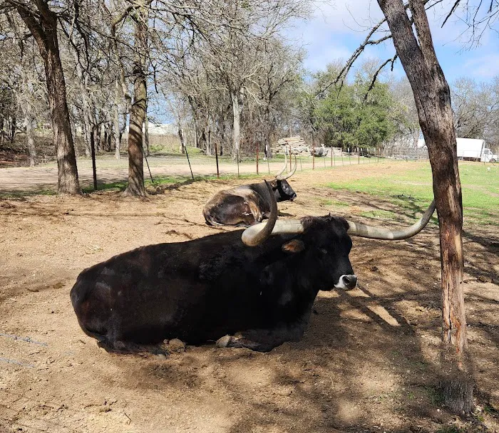 Bending Oaks Ranch RV Resort Picture 7