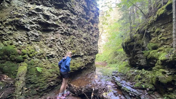 West Fork Kadunce River Camp Picture 2