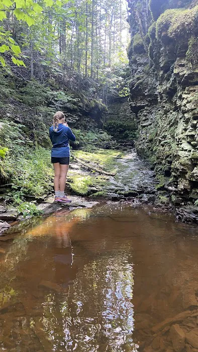 West Fork Kadunce River Camp Picture 4