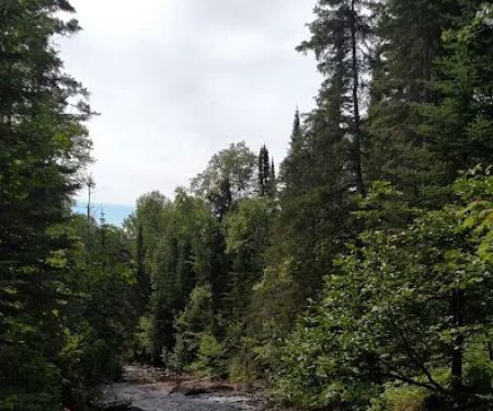 Kadunce River Camp