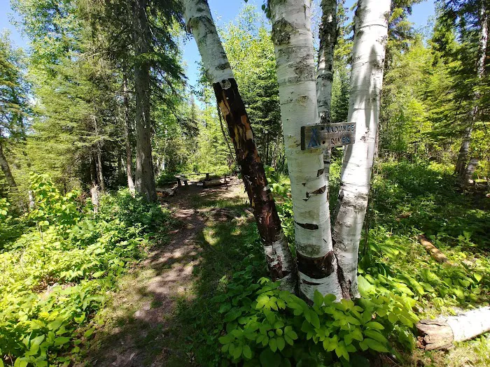 Kadunce River Camp Picture 3