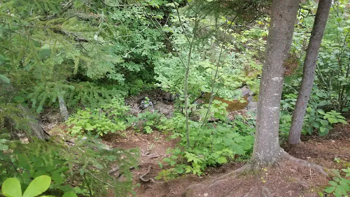 South Little Brule River Camp Picture 1