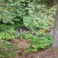 South Little Brule River Camp ico