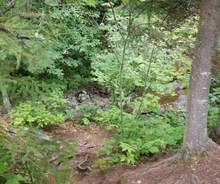 South Little Brule River Camp
