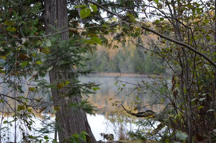 East Bearskin Lake Campground Picture 9