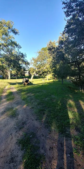 Shady Oaks Riverside Rv Retreat Picture 9