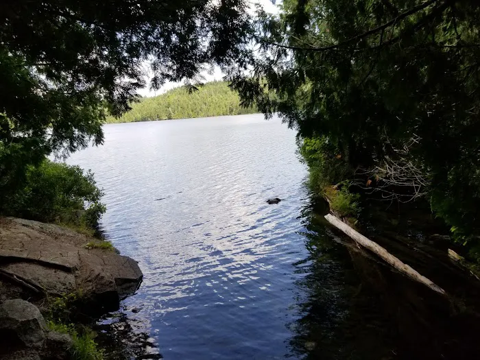 Bear Back Island Picture 3