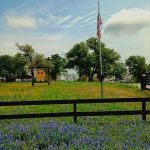 Wood Forest RV Park