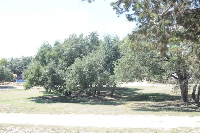 Patriot RV Park - Burnet Picture 8