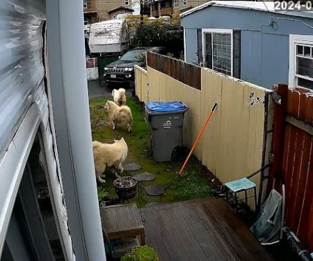 Western Trailer Park