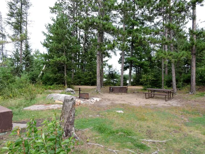 Wolf Island S19 Picture 2