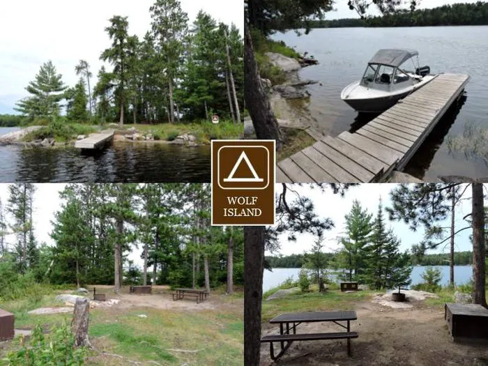 Wolf Island S19 Picture 1