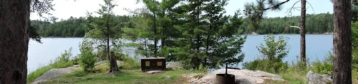 Wolf Island S19 Picture 5